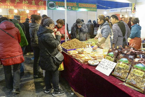 天津第二节果蔬节开幕 新颖果蔬人气高 特色食材受欢迎